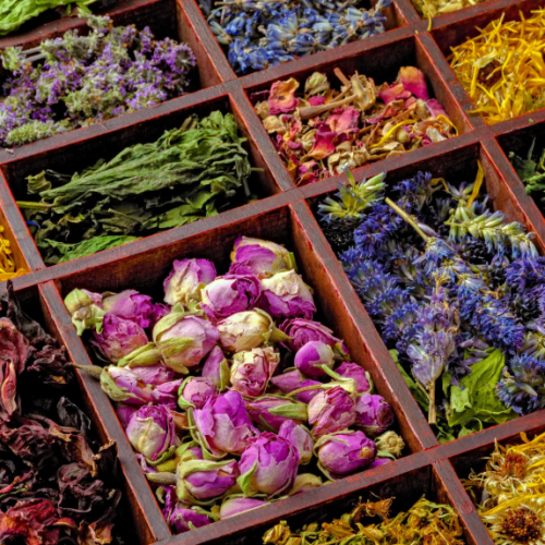 花草茶  (中階) 工作坊 Herbal Tea (Middle) Workshop