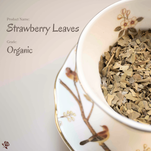 Strawberry Leaves 士多啤梨葉 Strawberry Leaves | 果實甜美,葉片才是真正的底蘊