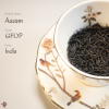 Assam 阿薩姆紅茶 Assam Black Tea | 日照之地的深色低語
