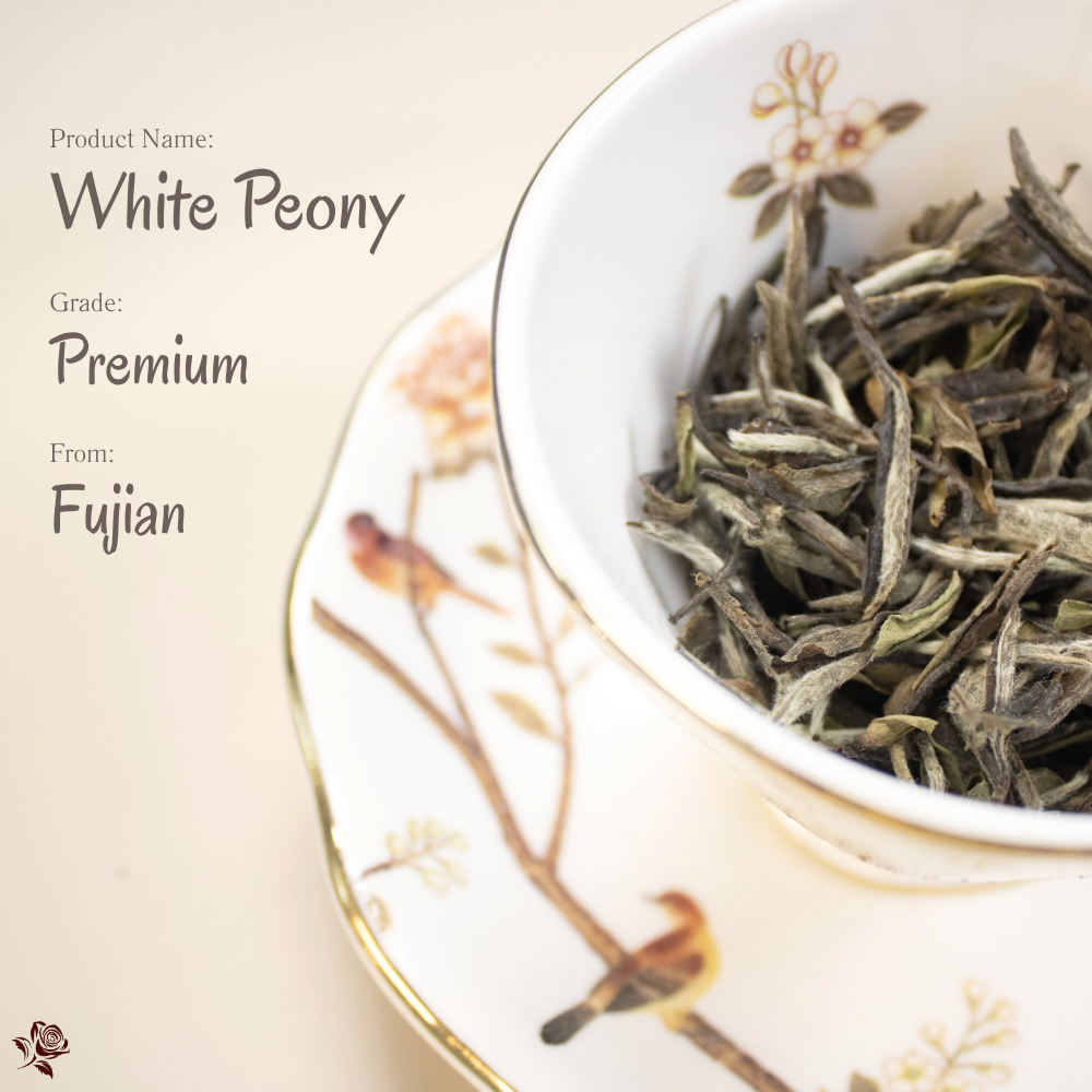 高級白牡丹 Premium White Peony|白茶之中,自有清雅風骨
