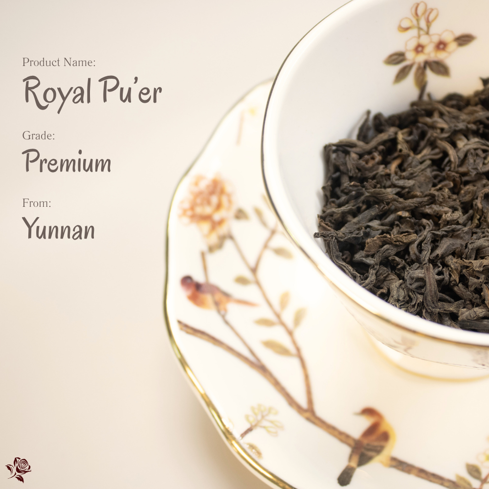 宮廷普洱 Royal Pu’er Tea | 沉香如御,氣韻天成
