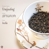 大吉嶺紅茶 Darjeeling Black Tea | 紅茶中的香檳，氣質中的輕盈