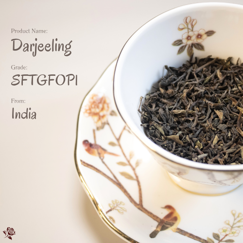 大吉嶺紅茶 Darjeeling Black Tea | 紅茶中的香檳，氣質中的輕盈