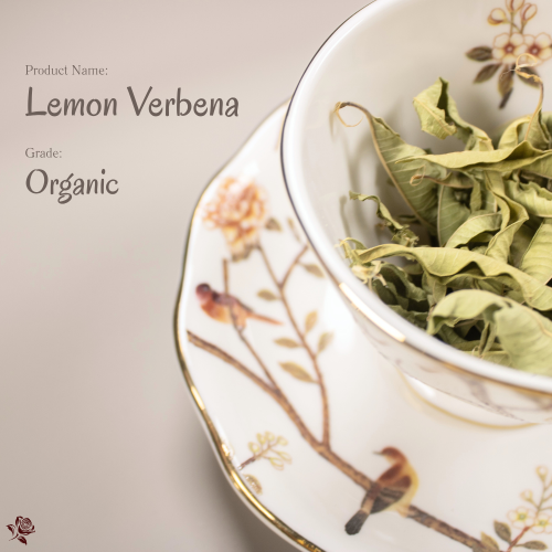 有機檸檬馬鞭草 Organic Lemon Verbena | 高端花草茶界的「香氣哲學家」