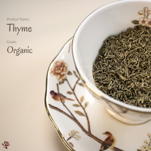 有機百里香 Organic Thyme | 從地中海的陽光走入現代生活的香氣與療癒