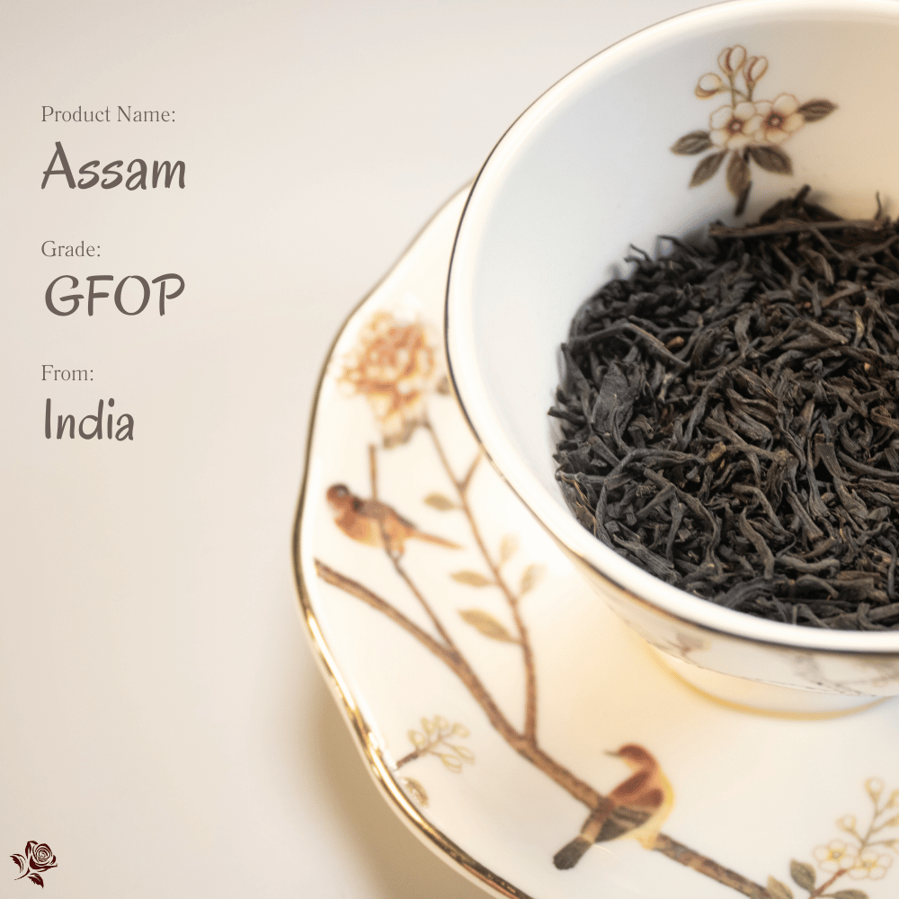 阿薩姆紅茶 Assam Black Tea | 日照之地的深色低語