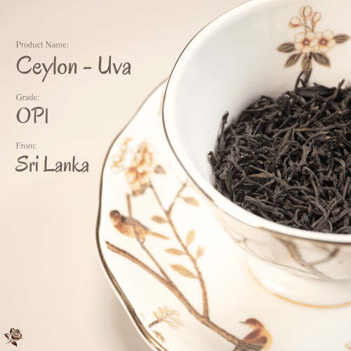 錫蘭紅茶 Ceylon Black Tea | 斯里蘭卡高原的清冽傳奇
