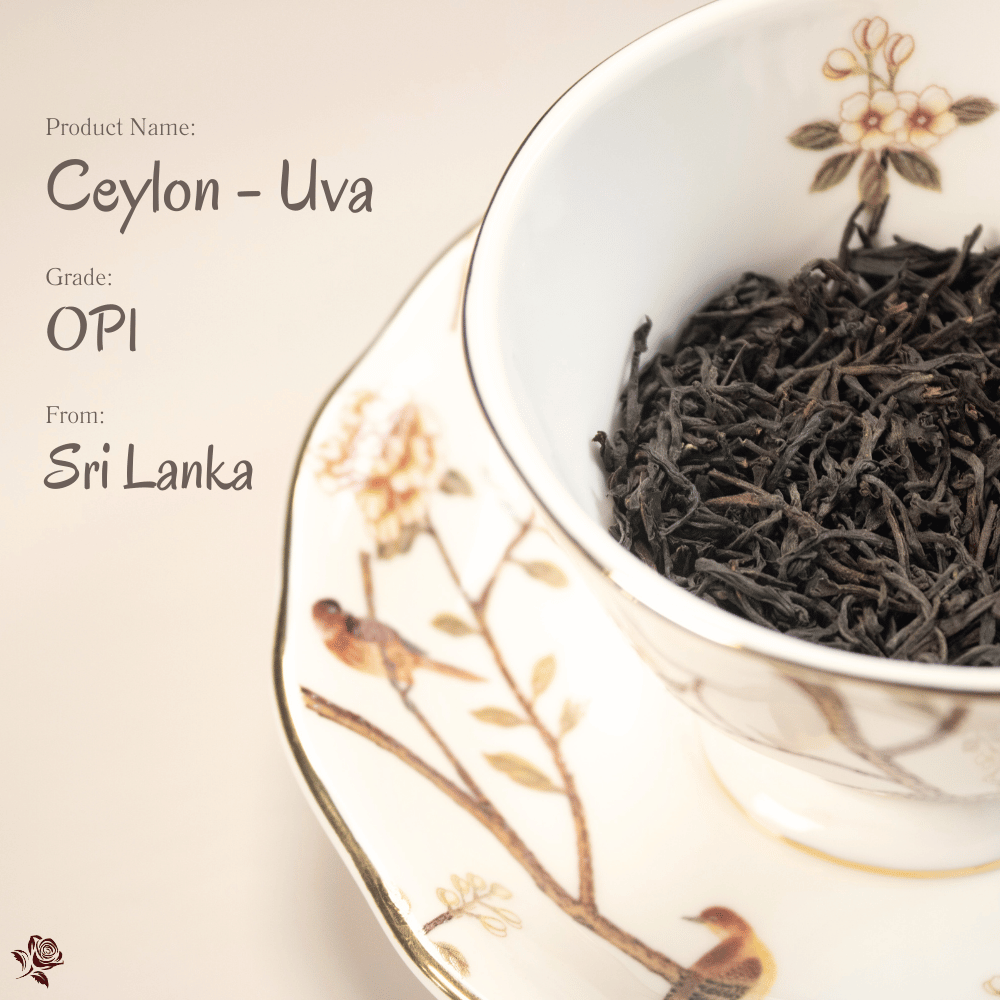 Ceylon - Uva Tea Cup 錫蘭紅茶 Ceylon Black Tea | 斯里蘭卡高原的清冽傳奇