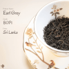 伯爵紅茶 Earl grey Black Tea | 英倫經典，香氣的貴族儀式