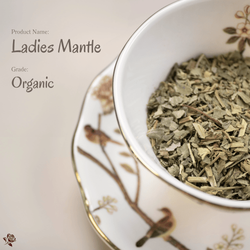 Organic Ladies Mantle - Tea Cup 有機斗篷草 Organic Lady's Mantle | 每一位女性,都值得被柔軟地保護