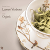有機檸檬馬鞭草 Organic Lemon Verbena | 高端花草茶界的「香氣哲學家」
