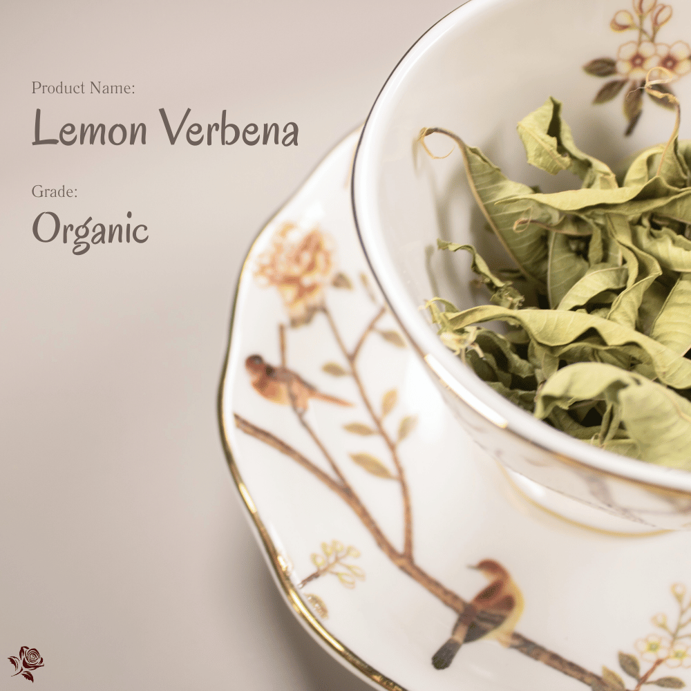 有機檸檬馬鞭草 Organic Lemon Verbena | 高端花草茶界的「香氣哲學家」