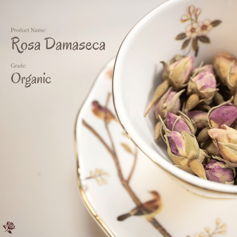 有機大馬士革玫瑰 Organic Rosa Damascena|以香氣獻給靈魂的輕奢時刻
