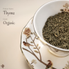 有機百里香 Organic Thyme | 從地中海的陽光走入現代生活的香氣與療癒