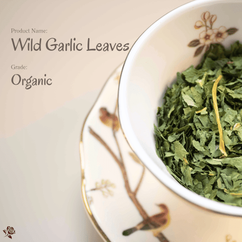 Organic Wild Garlic Leaves - Tea Cup 有機野生蒜葉 Organic Wild Garlic Leaves|在森林裡醒來的一杯茶