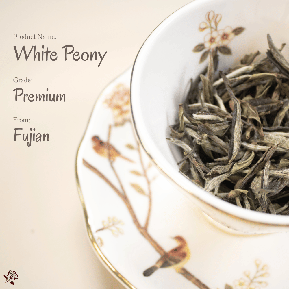 高級白牡丹 Premium White Peony|白茶之中,自有清雅風骨